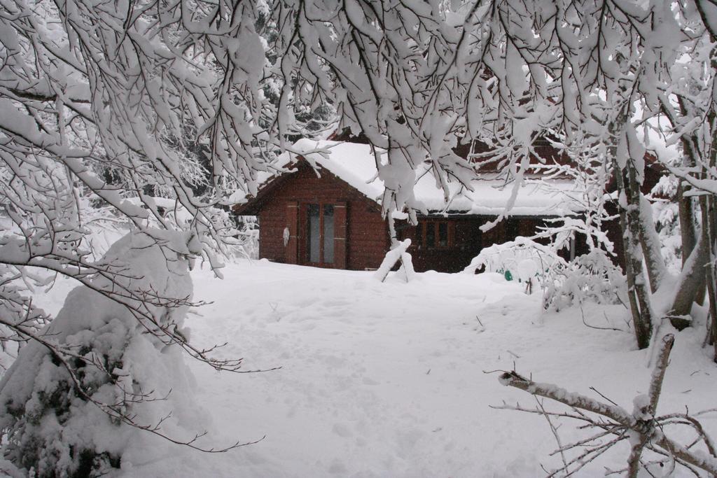 Chalet Ott - Apartment In The Mountains With Sauna Saint-Cergue Pokój zdjęcie